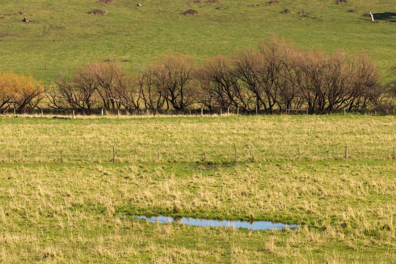 No duty owed to subsequent purchaser of land No duty owed to subsequent purchaser of land